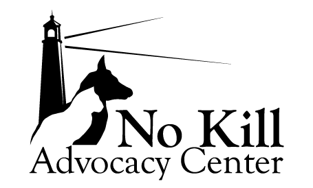 No Kill Shelters in Minnesota, Twin Cities Agenda