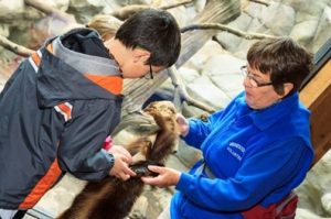 Top places for animal lovers to volunteer in Minnesota