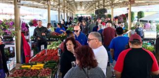 farmers markets and flea markets in the twin cities
