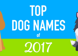 Top Dog Names of 2017