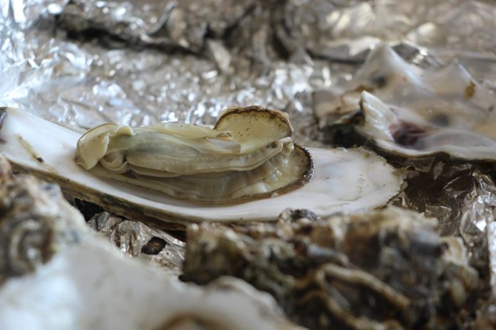 oysterfest2