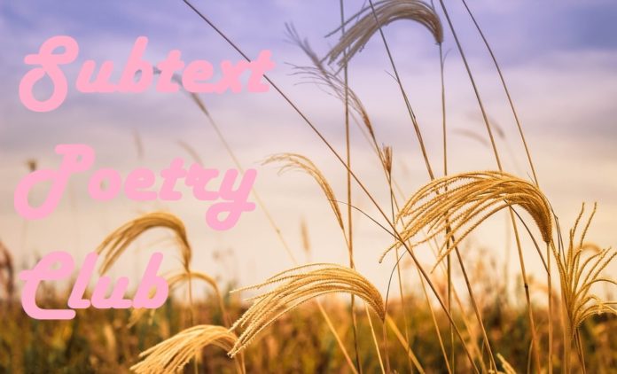poetry1