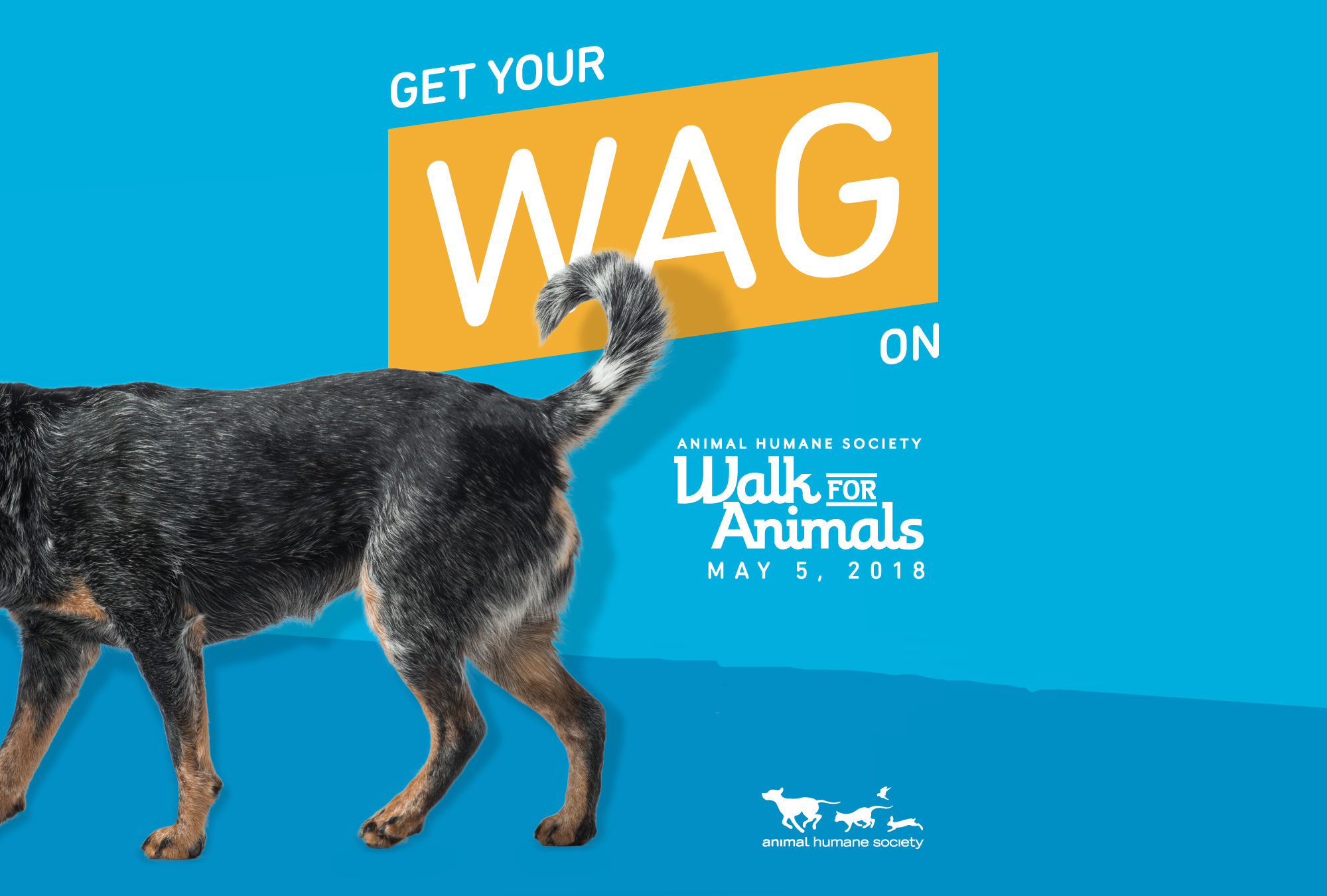 Tails wagging for donations Walk For Animals Twin Cities Agenda