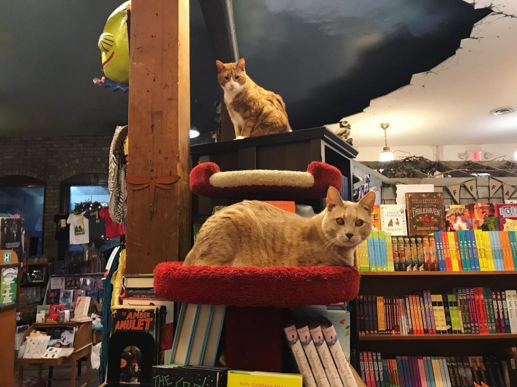 Discover your next summer read at these Twin Cities bookstores