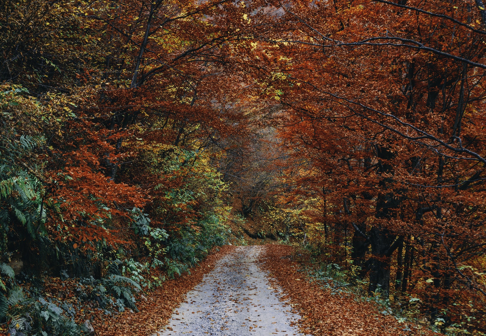 Enjoy the colors of autumn with these 7 beautiful bike rides