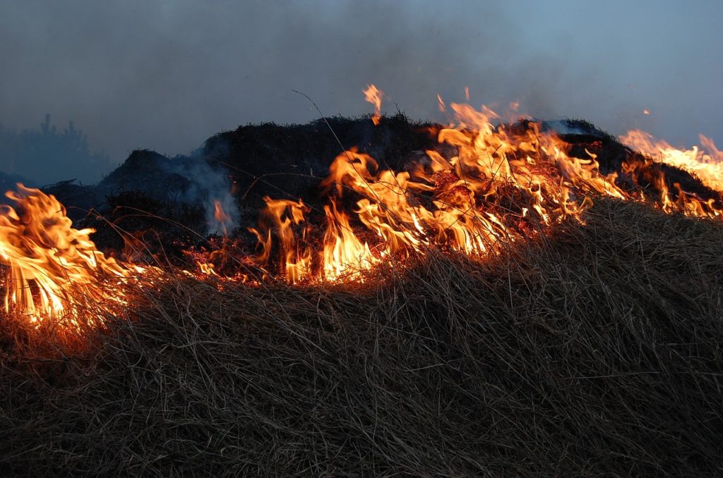 A photo of burning yard waste in Minnesota